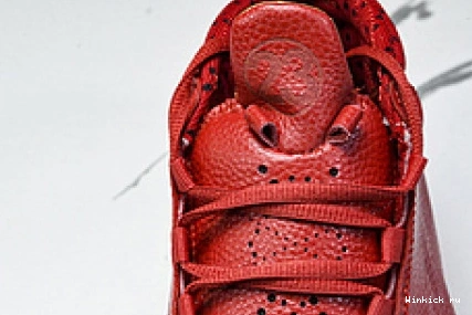 Chicago 23 Jordan 1115